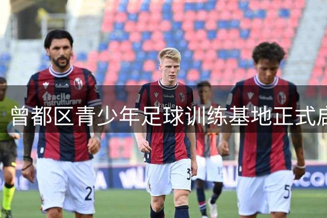 曾都区青少年足球训练基地正式启用