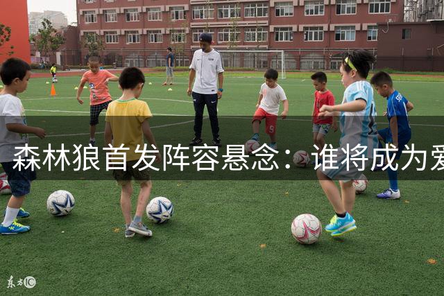 森林狼首发阵容悬念：谁将成为爱德华兹身边的最后拼图？
