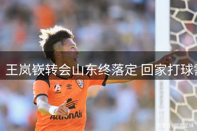 王岚嵚转会山东终落定 回家打球需过五关