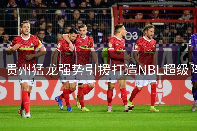 贵州猛龙强势引援打造NBL超级阵容，新赛季冲击CBA指日可待
