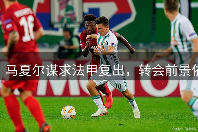 马夏尔谋求法甲复出，转会前景依然不明朗